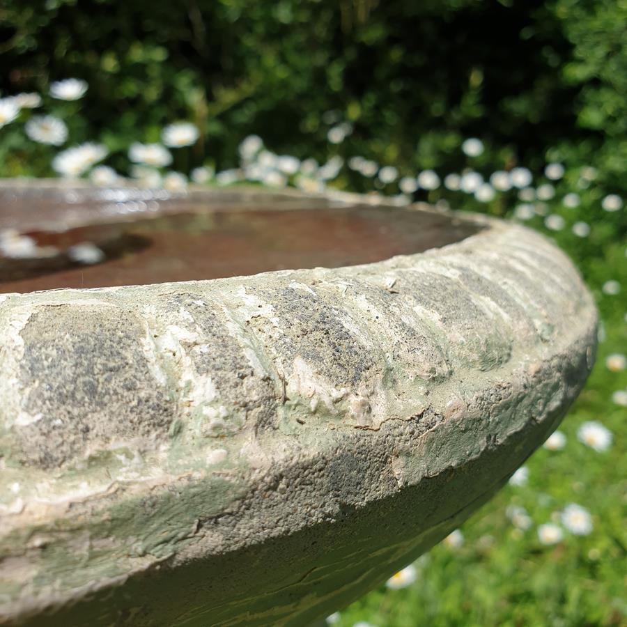 Bird Bath