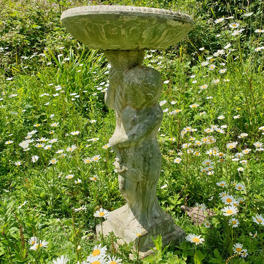 Bird Bath