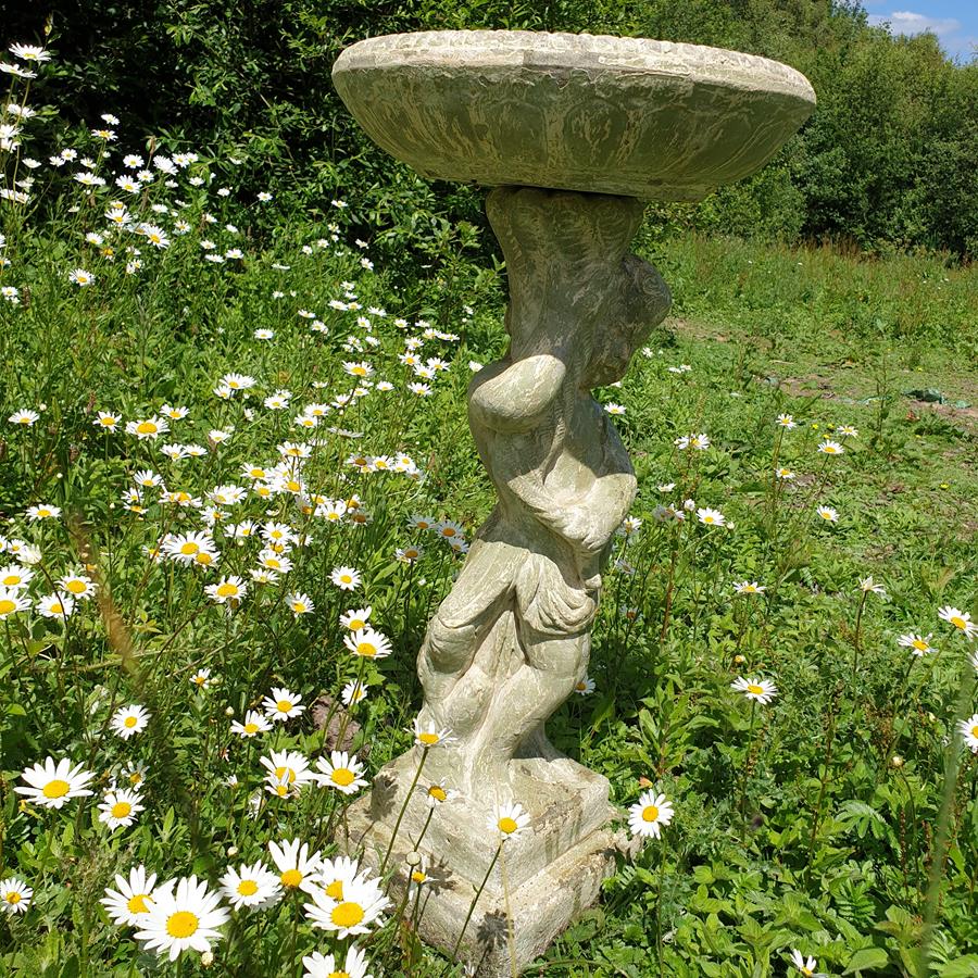 Bird Bath