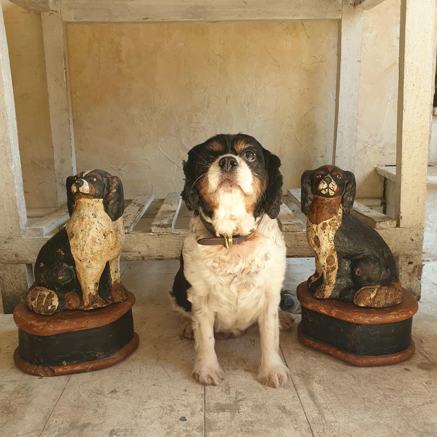 Pair Of 19th Century Spaniels