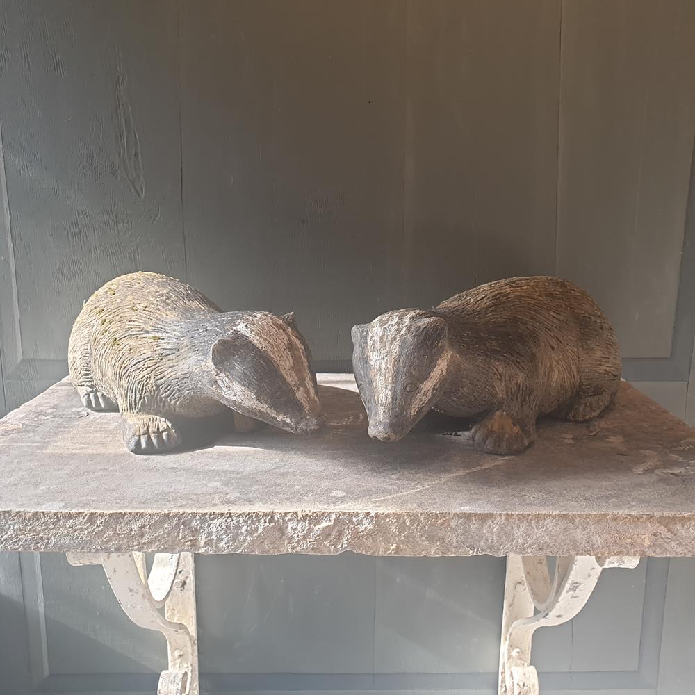 Pair Of Badgers