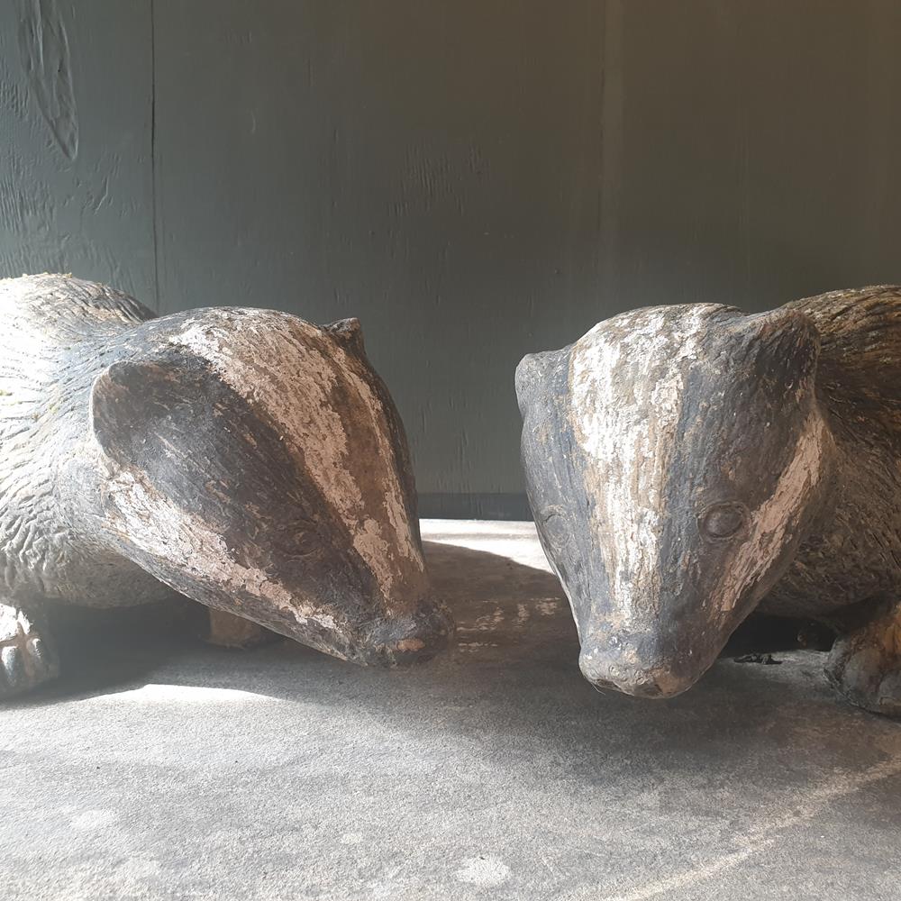 Pair Of Badgers