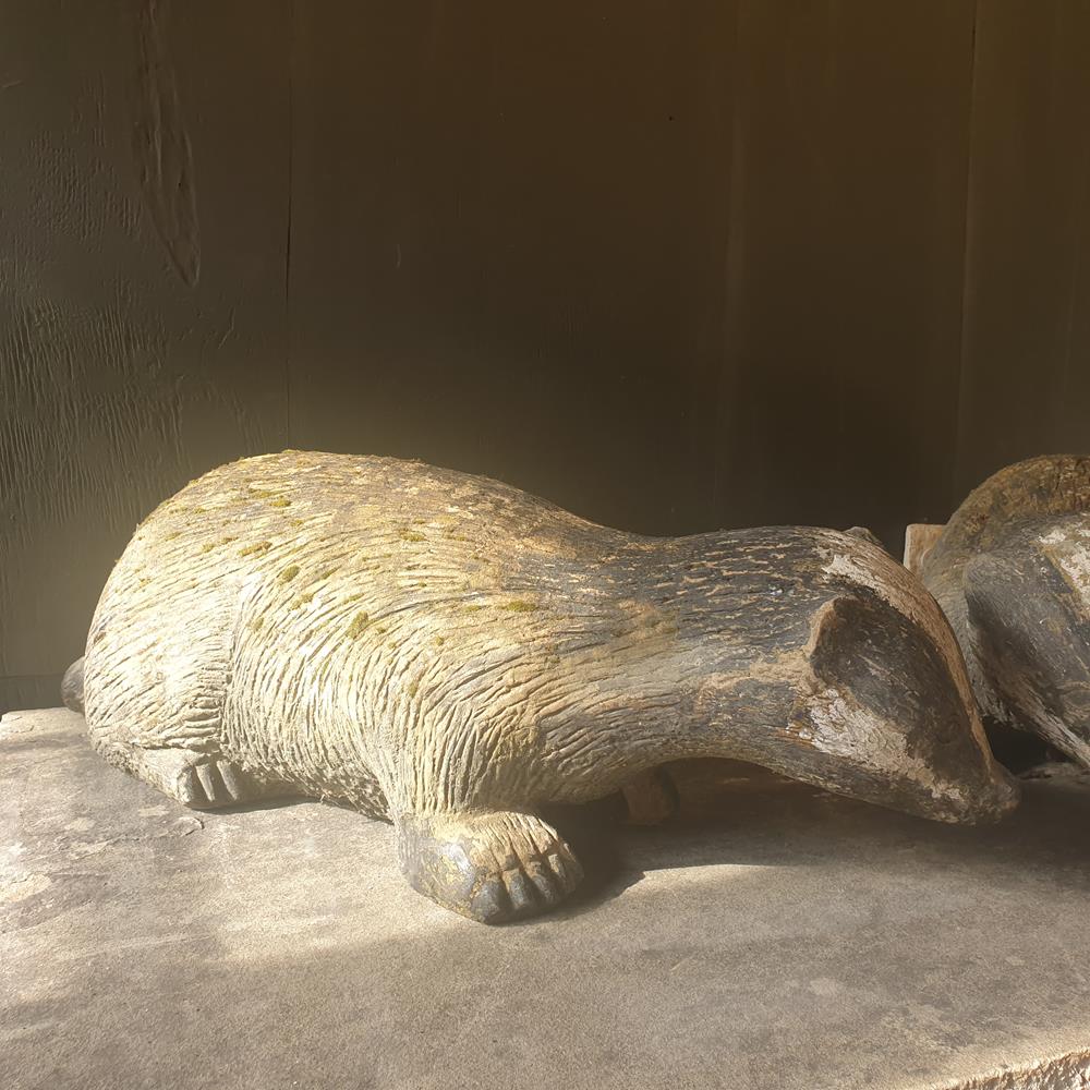 Pair Of Badgers