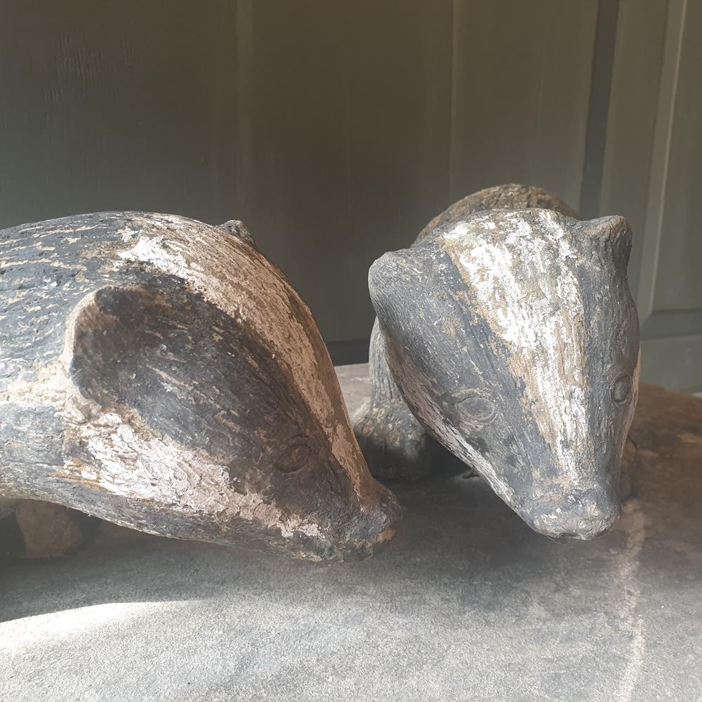 Pair Of Badgers