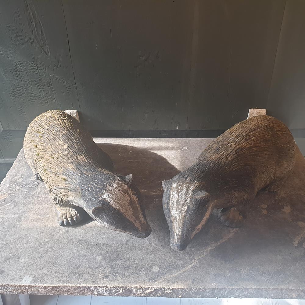 Pair Of Badgers