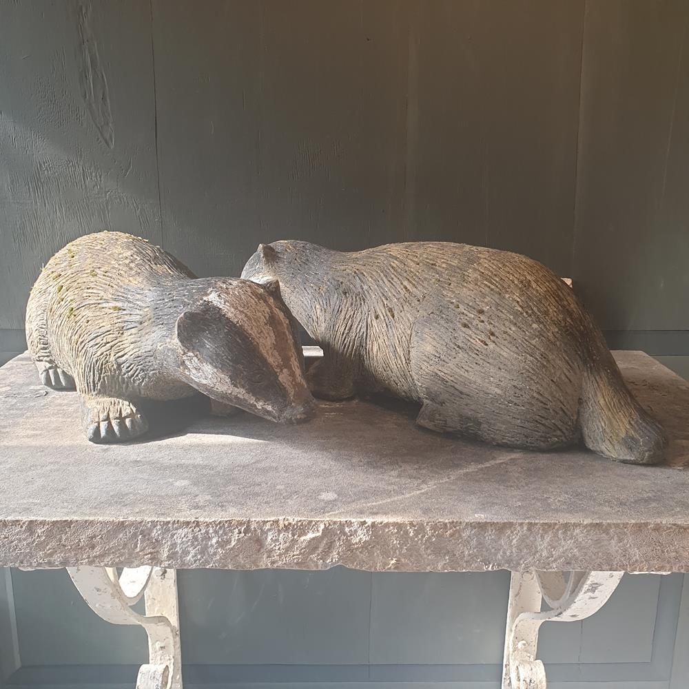 Pair Of Badgers