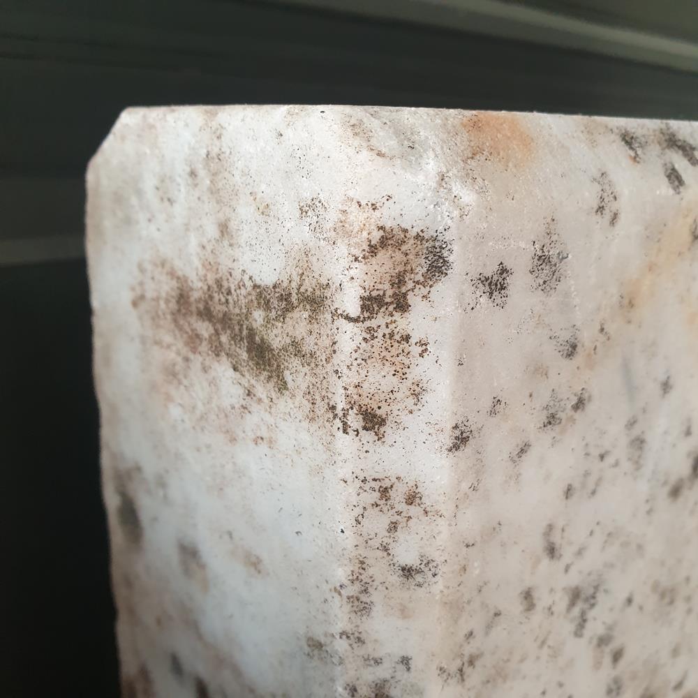 Edwardian Marble Pet Memorial