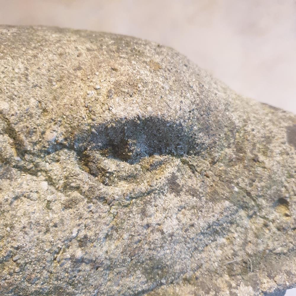 The French Beastie Statue