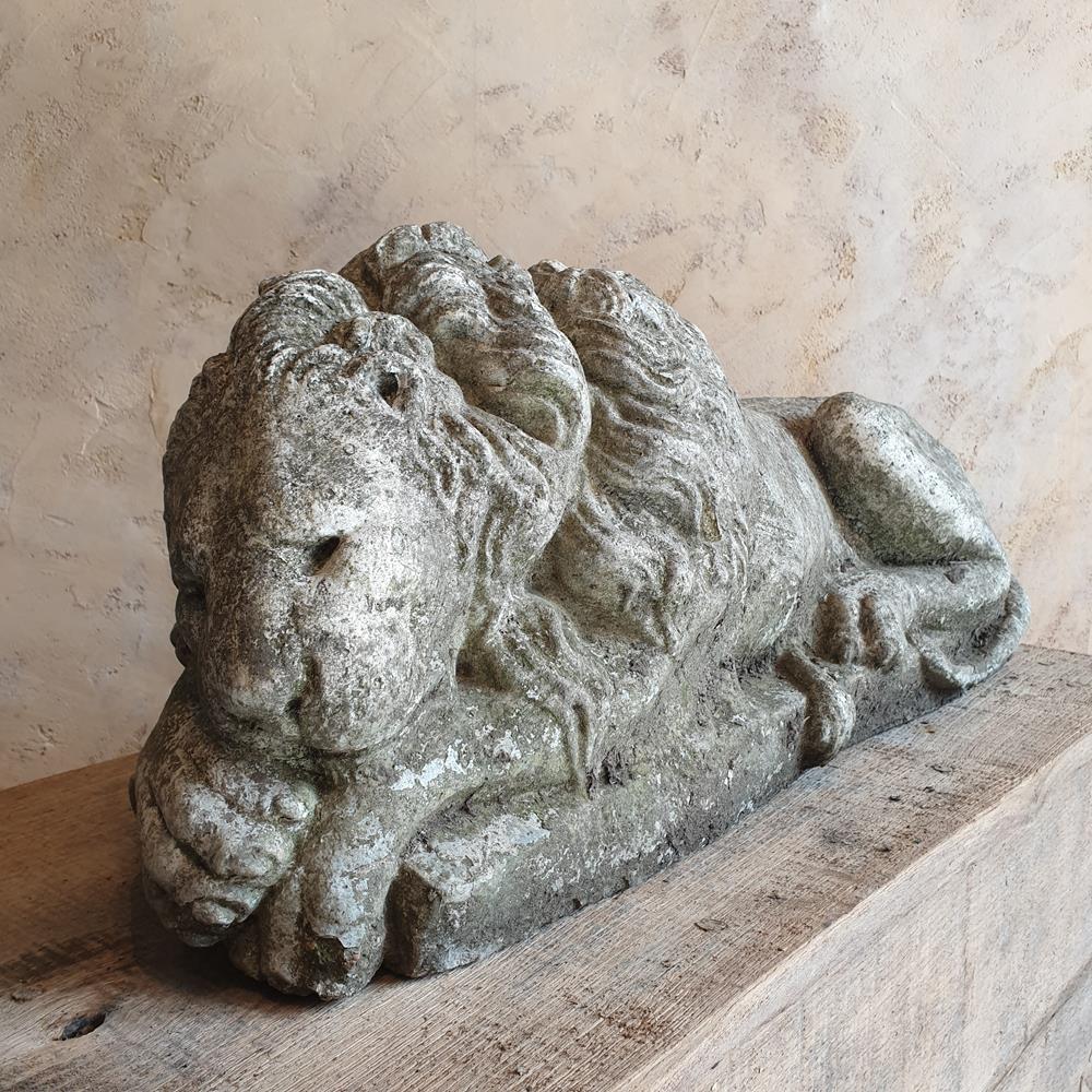Sleeping Lion