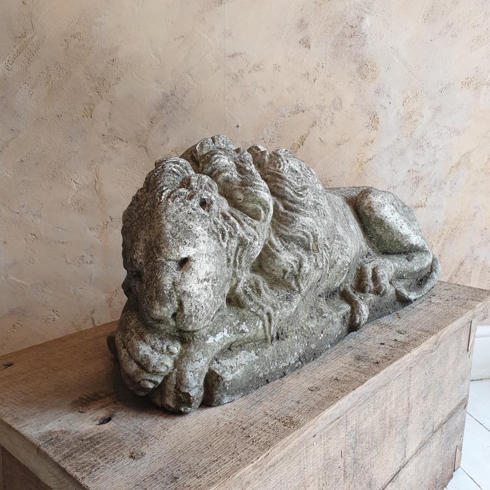 Sleeping Lion