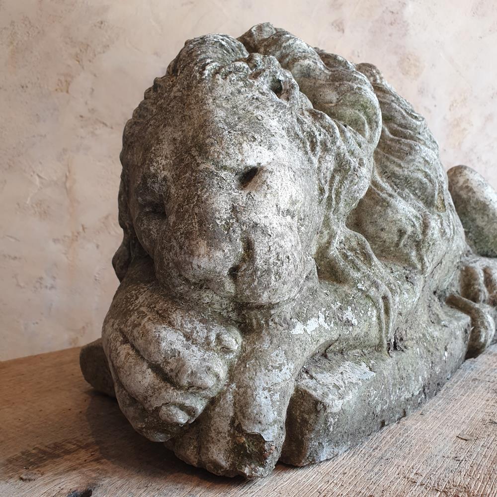 Sleeping Lion