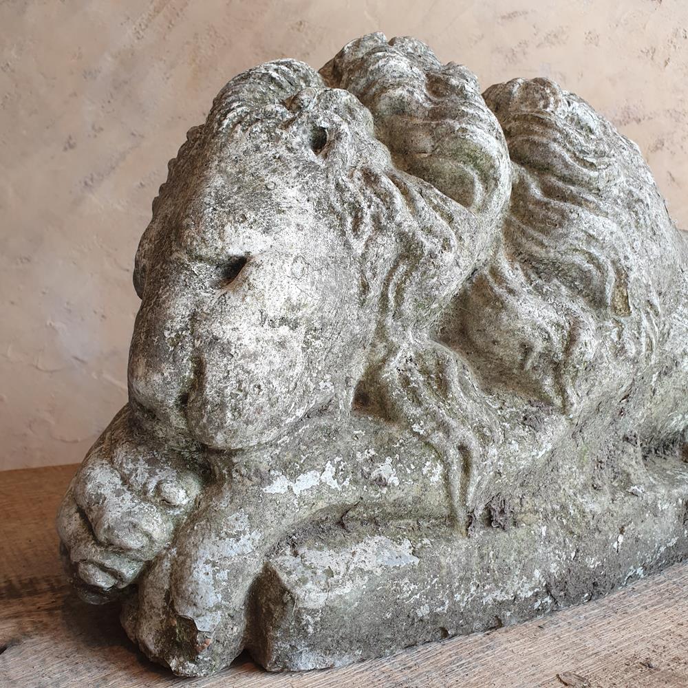 Sleeping Lion