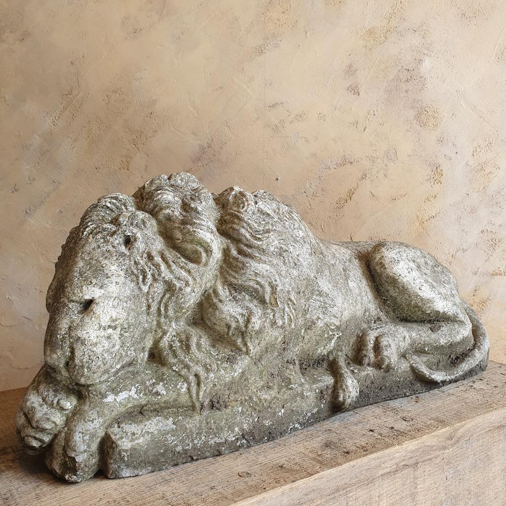 Sleeping Lion