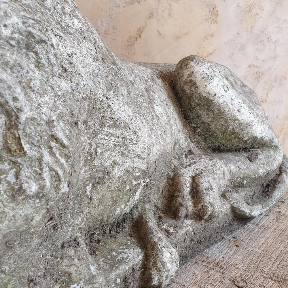 Sleeping Lion