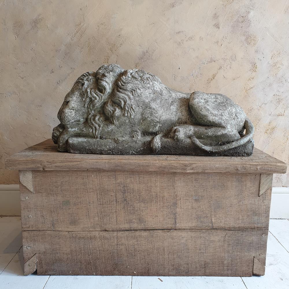 Sleeping Lion