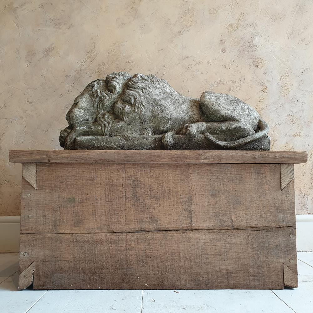 Sleeping Lion