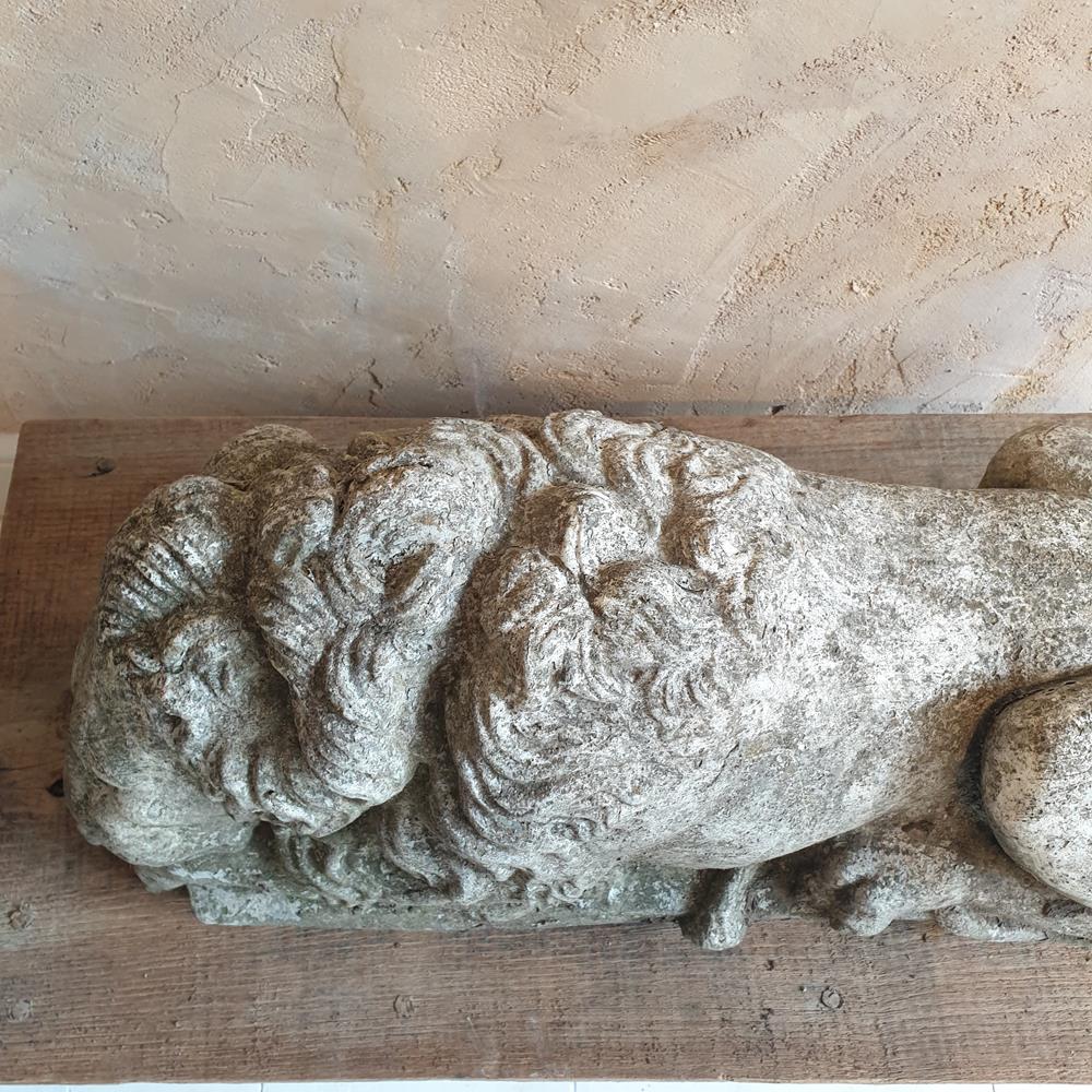 Sleeping Lion