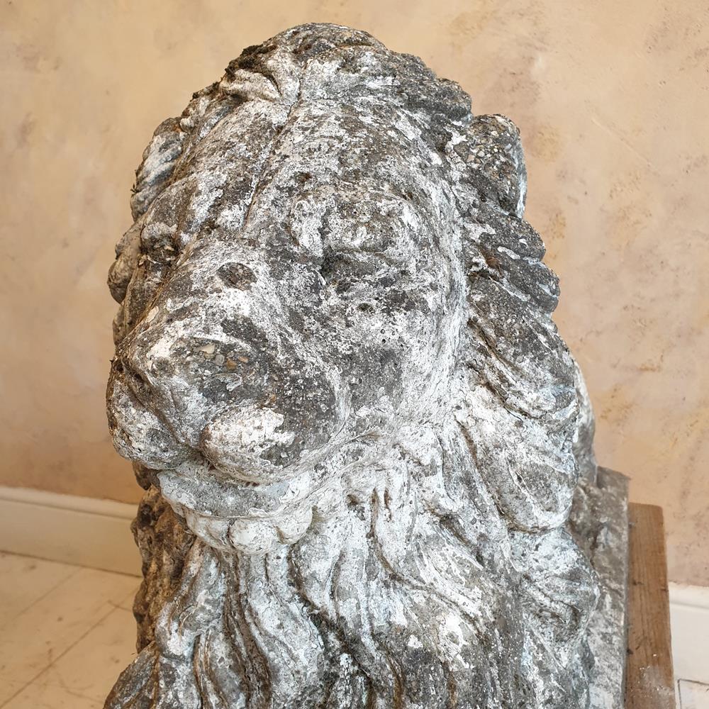 Recumbent Lion