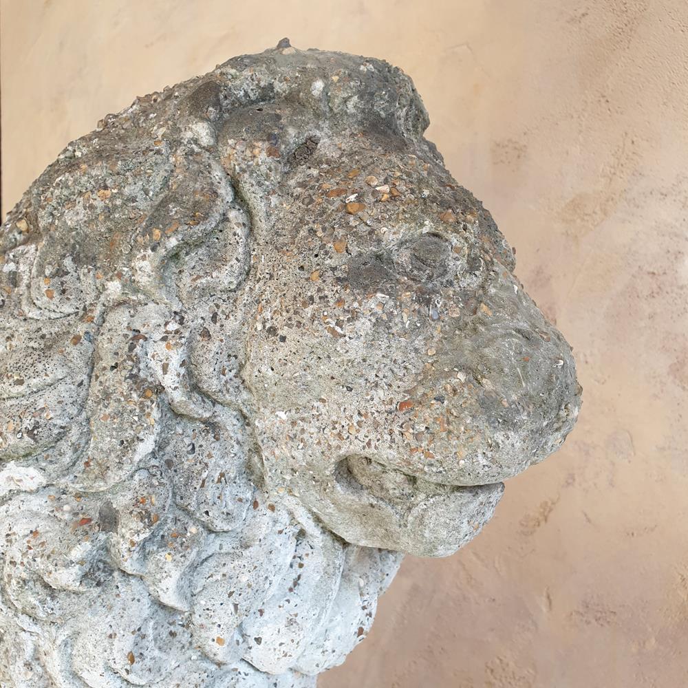 Seated Lion