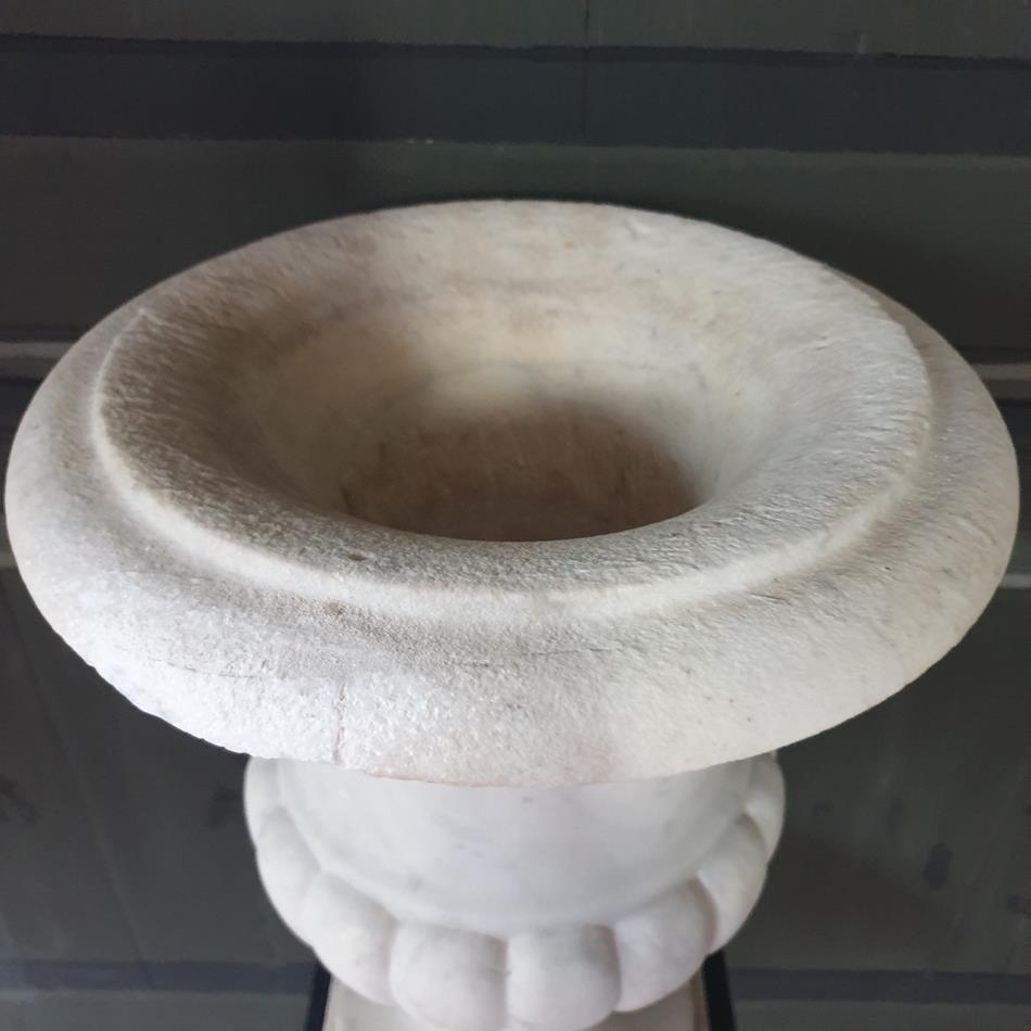 19th Century Marble Urn Collection