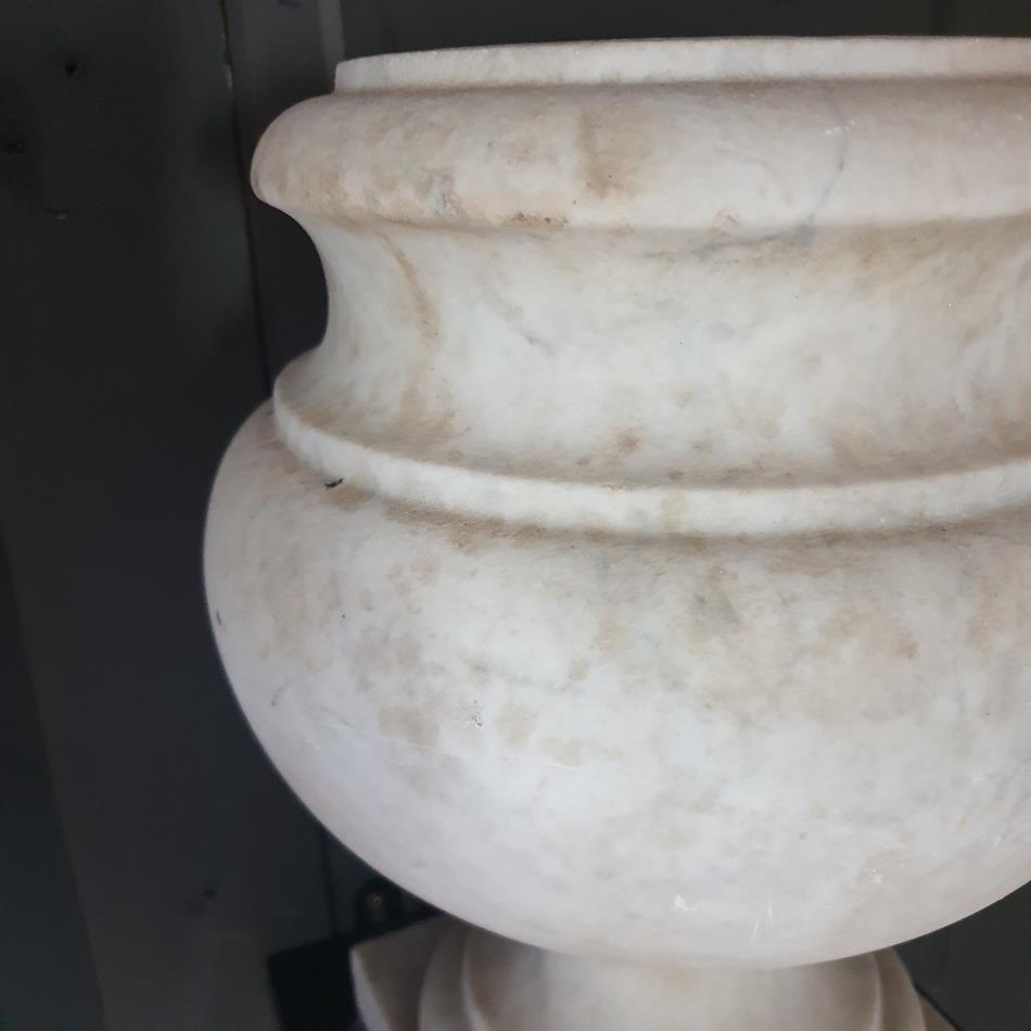 19th Century Marble Urn Collection