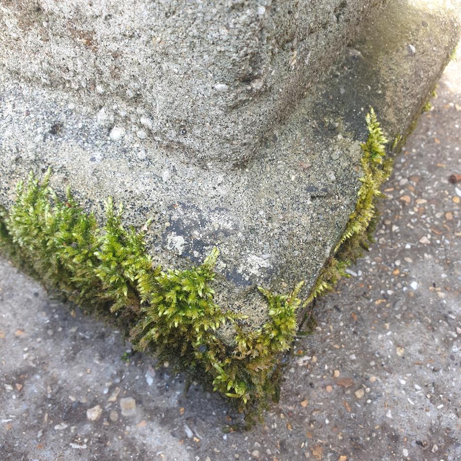A Composite Stone Sundial