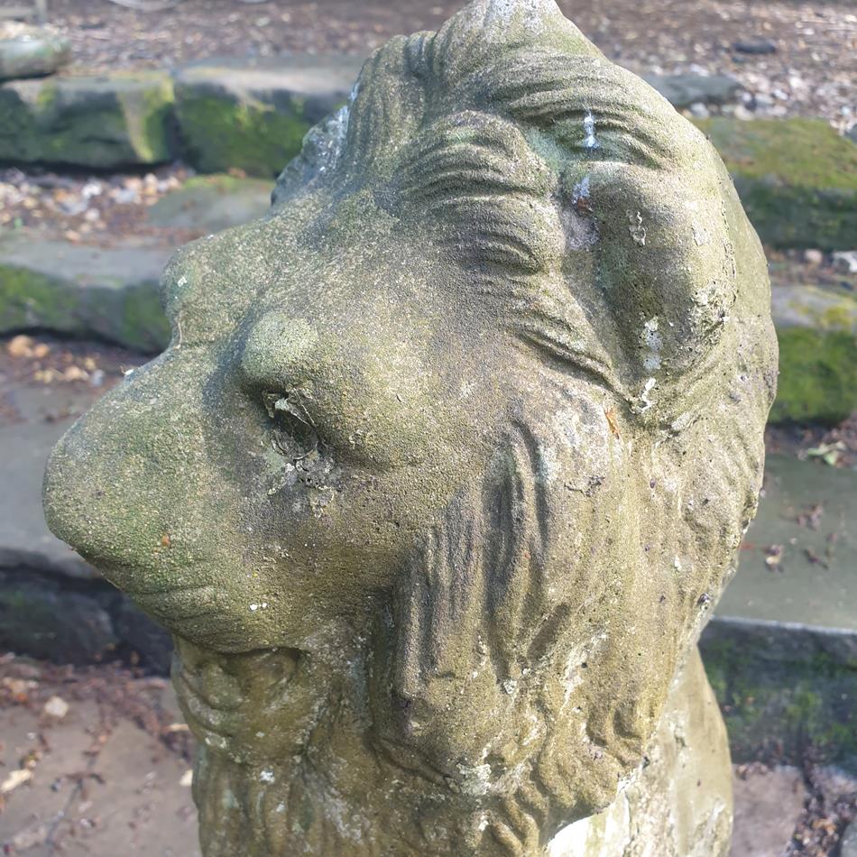 A Pair Of Sitting Lions