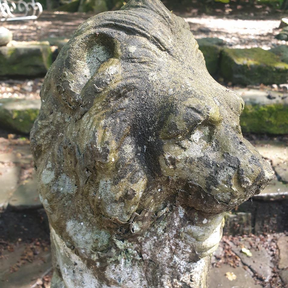 A Pair Of Sitting Lions