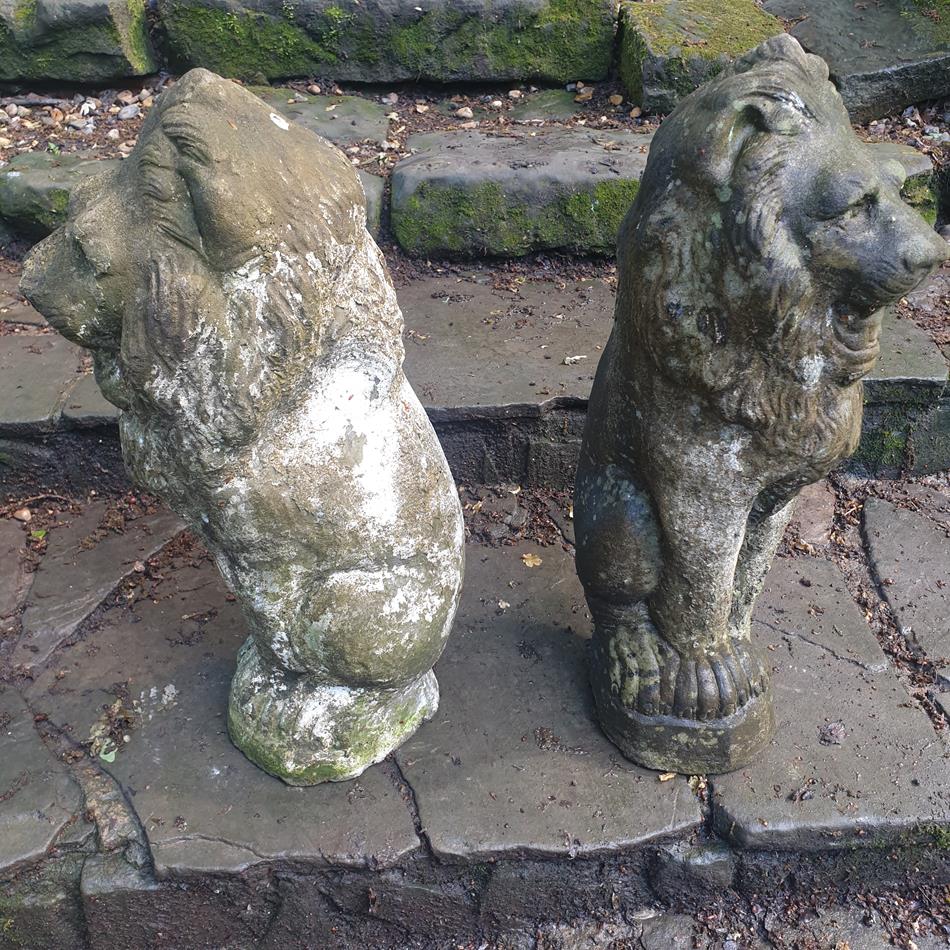 A Pair Of Sitting Lions