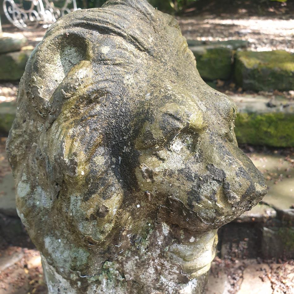 A Pair Of Sitting Lions