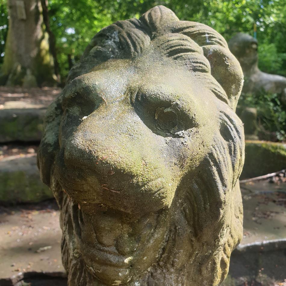 A Pair Of Sitting Lions