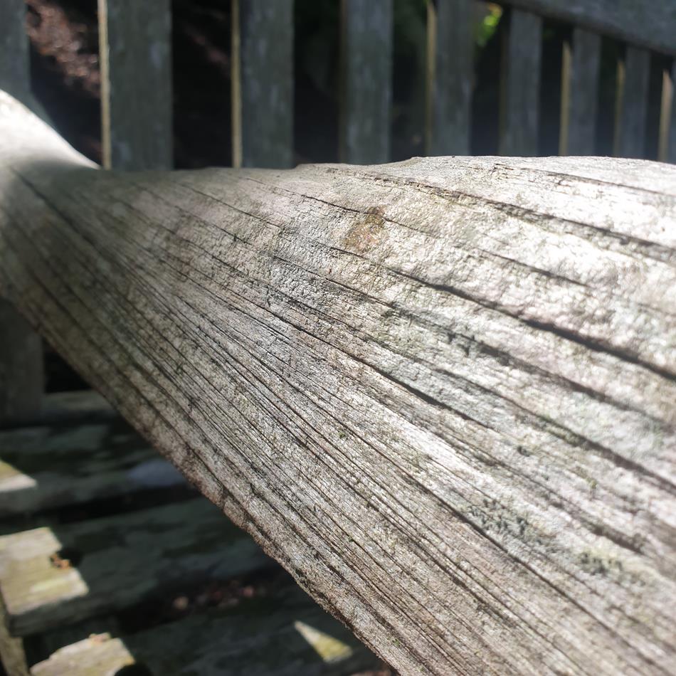 A Mid 20th Century Garden Teak Bench