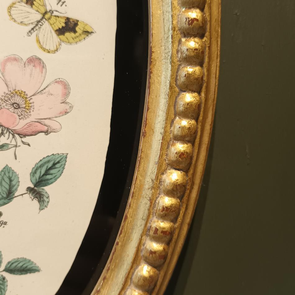 A Set Of Oval Framed Butterfly Prints