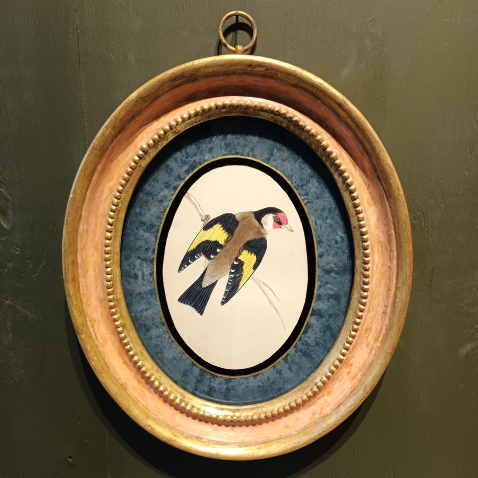 A Set Of 19th Century Framed Bird Prints