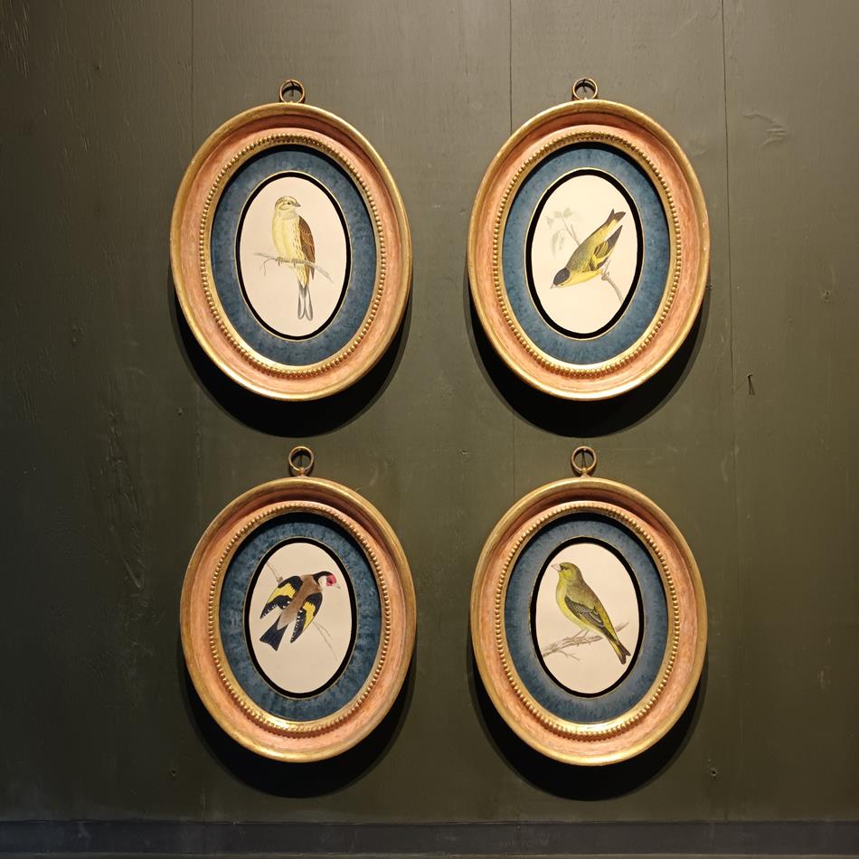 A Set Of 19th Century Framed Bird Prints