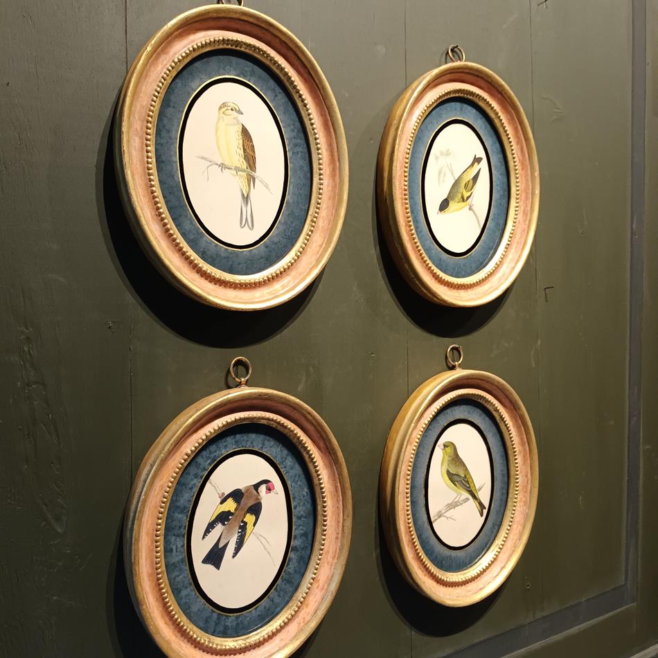 A Set Of 19th Century Framed Bird Prints