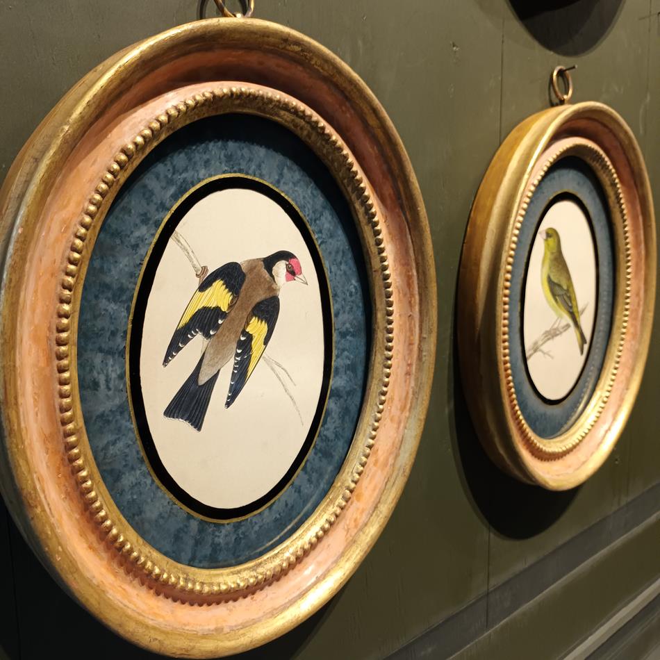 A Set Of 19th Century Framed Bird Prints