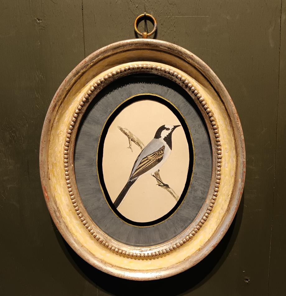 A Pair Of 19th Century Framed Bird Prints