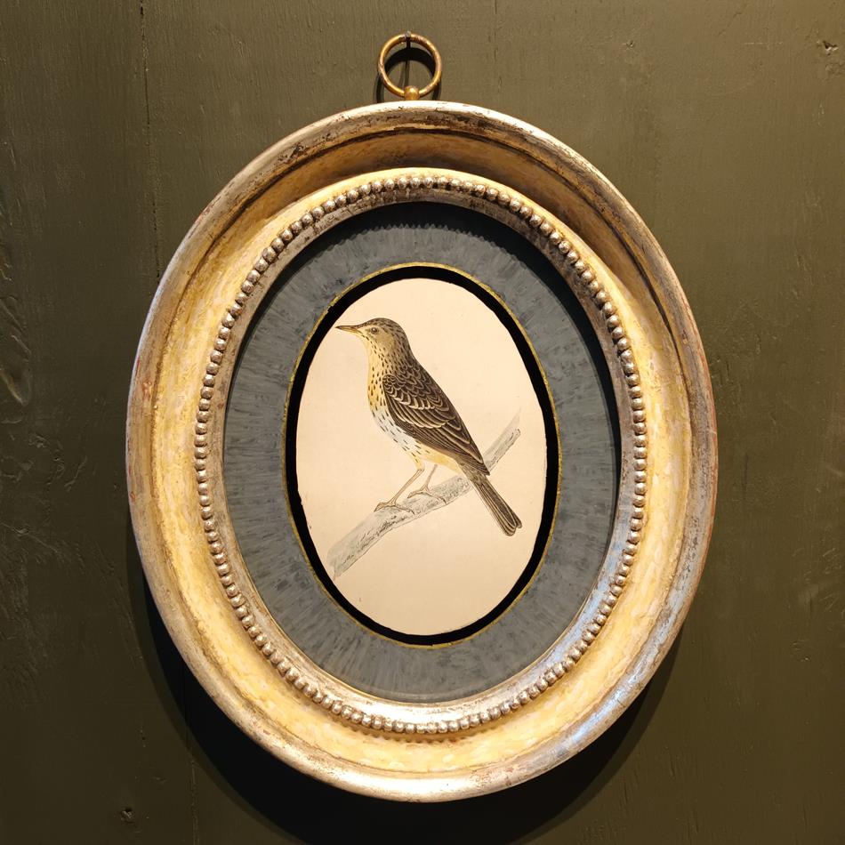 A Pair Of 19th Century Framed Bird Prints