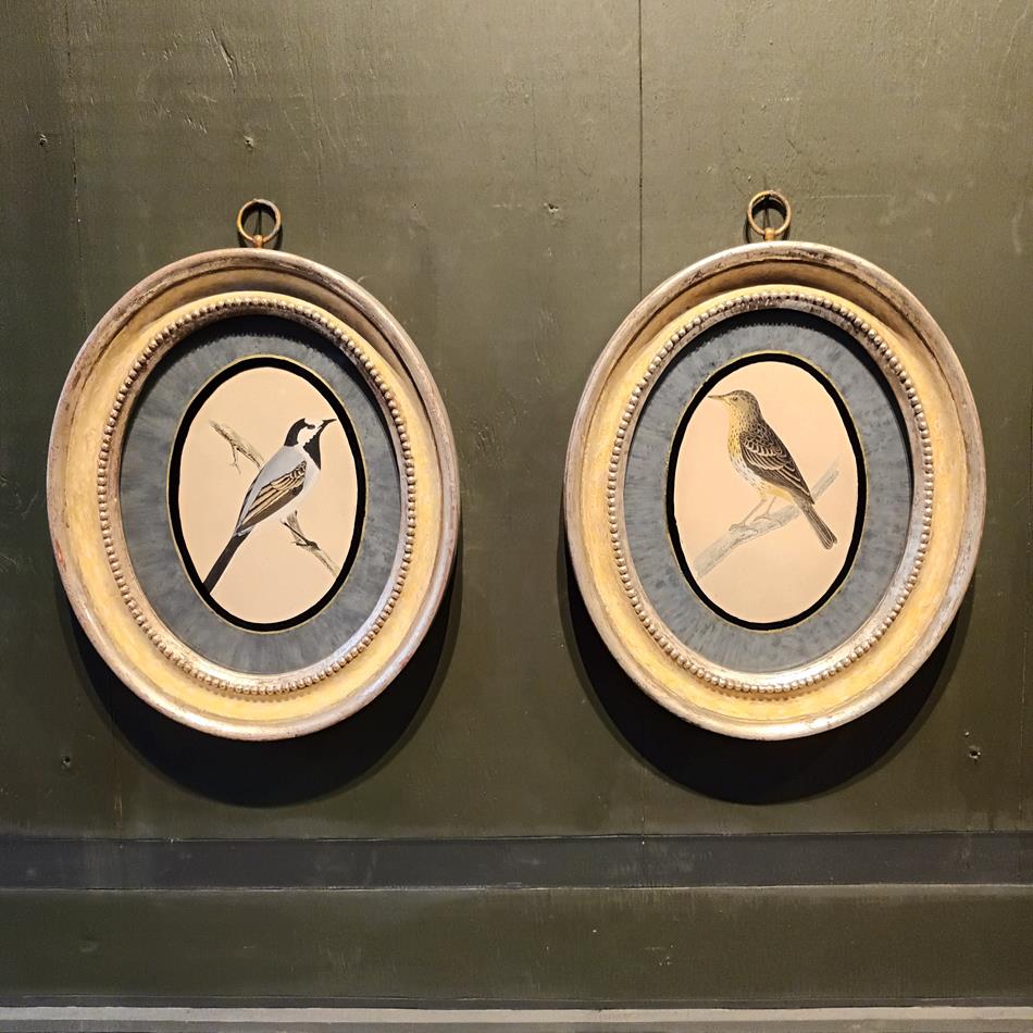 A Pair Of 19th Century Framed Bird Prints