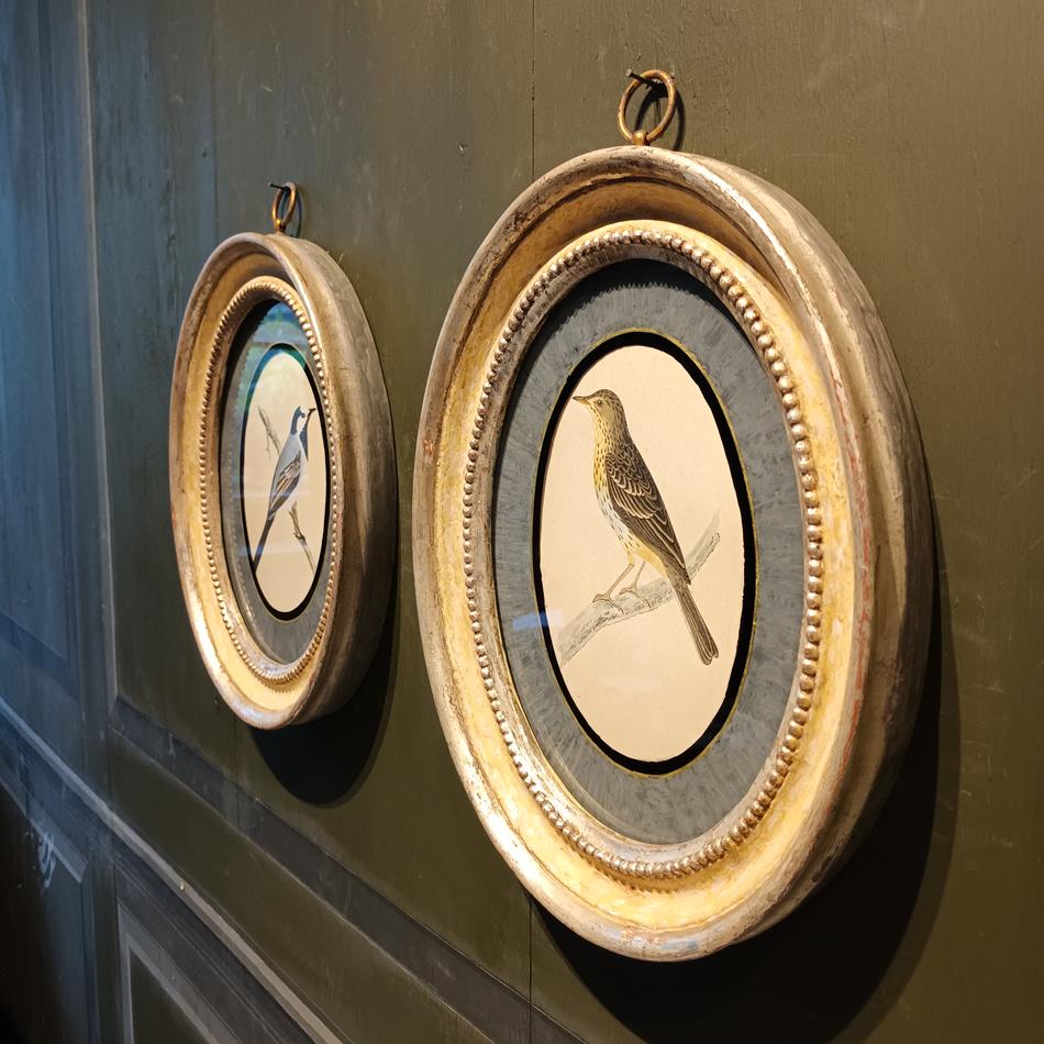 A Pair Of 19th Century Framed Bird Prints
