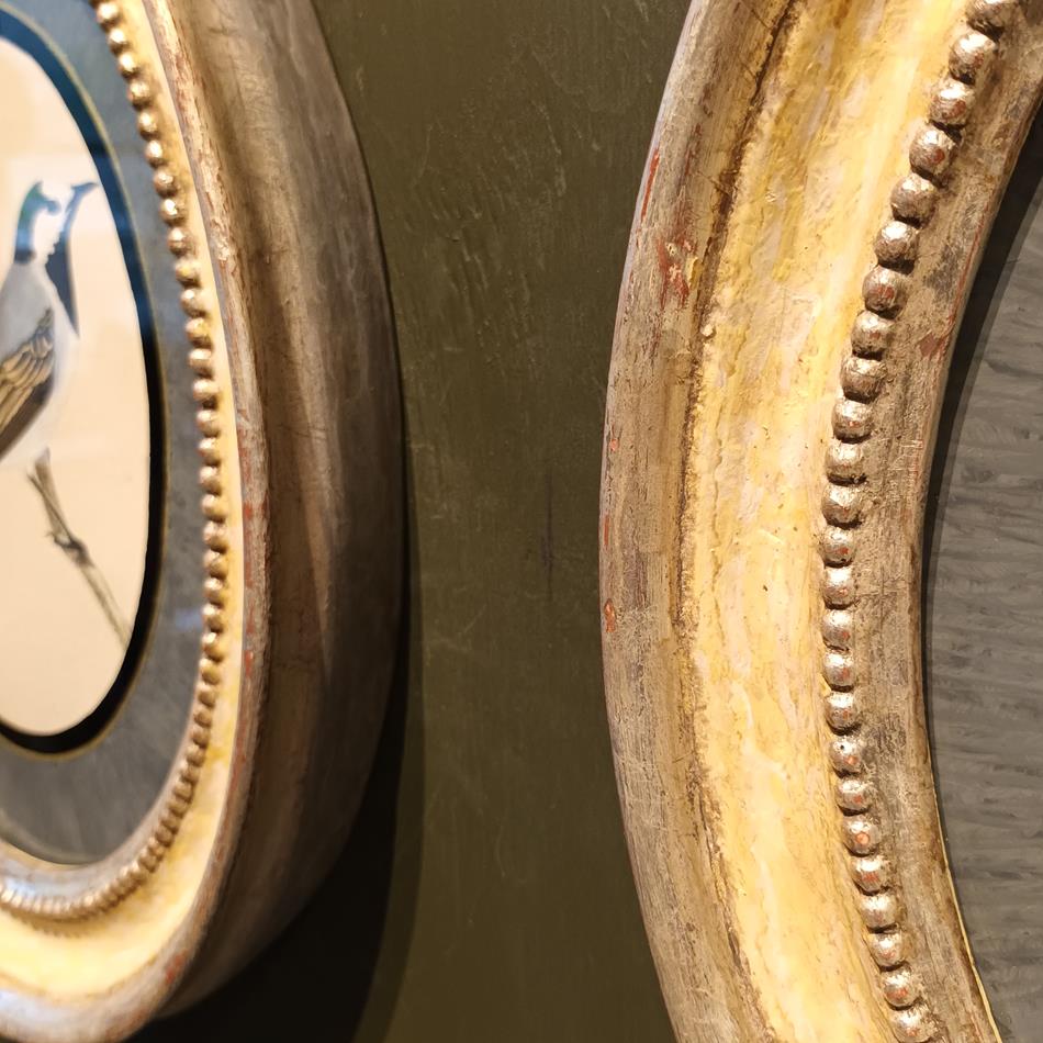 A Pair Of 19th Century Framed Bird Prints
