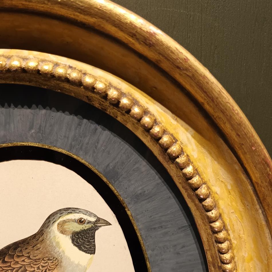 A Pair Of 19th Century Framed Bird Prints