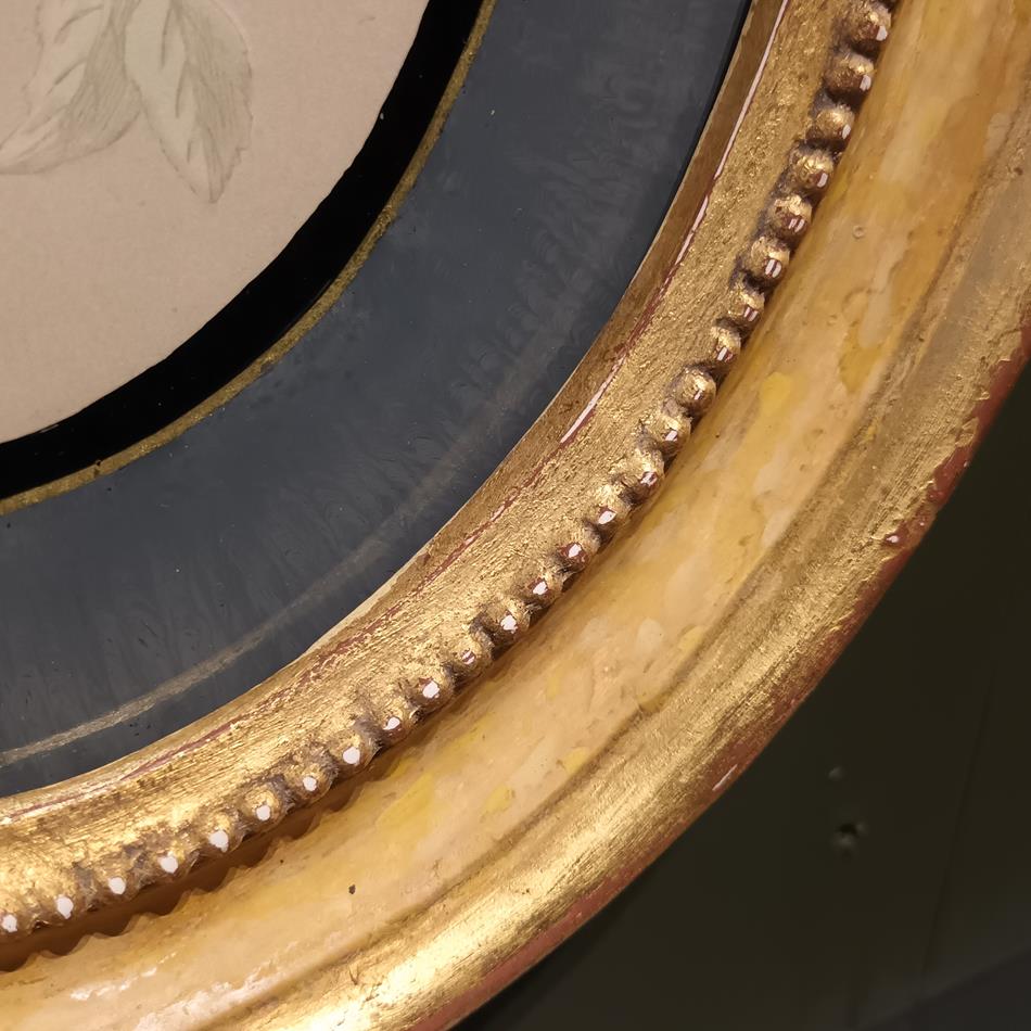A Pair Of 19th Century Framed Bird Prints