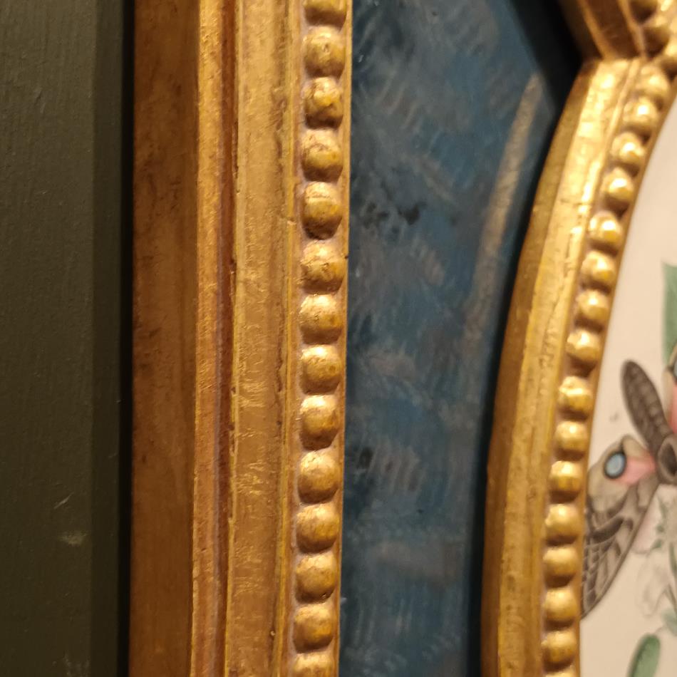 A Pair Of Framed 19th Century Butterfly Prints