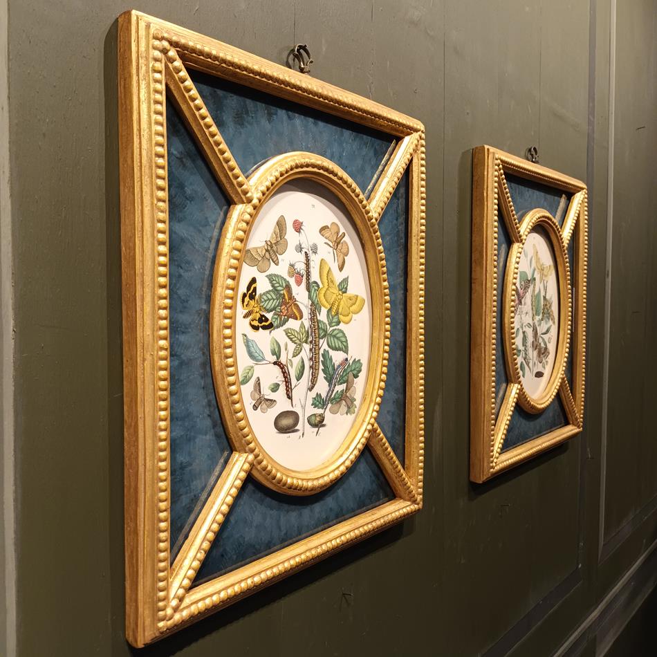 A Pair Of Framed 19th Century Butterfly Prints