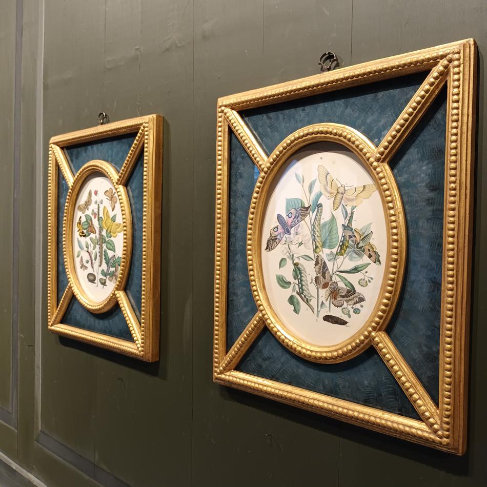 A Pair Of Framed 19th Century Butterfly Prints