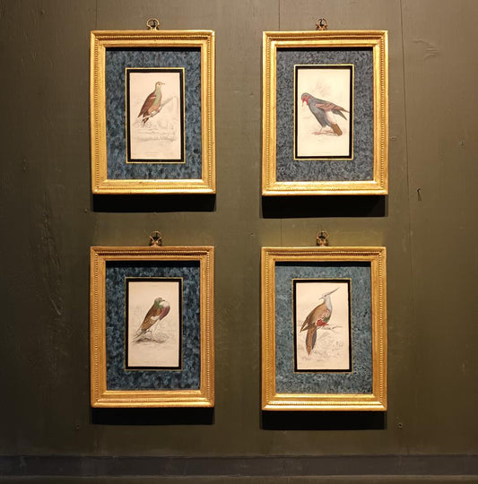 A Set Of 19th Century Framed Bird Engravings By Edward Lear