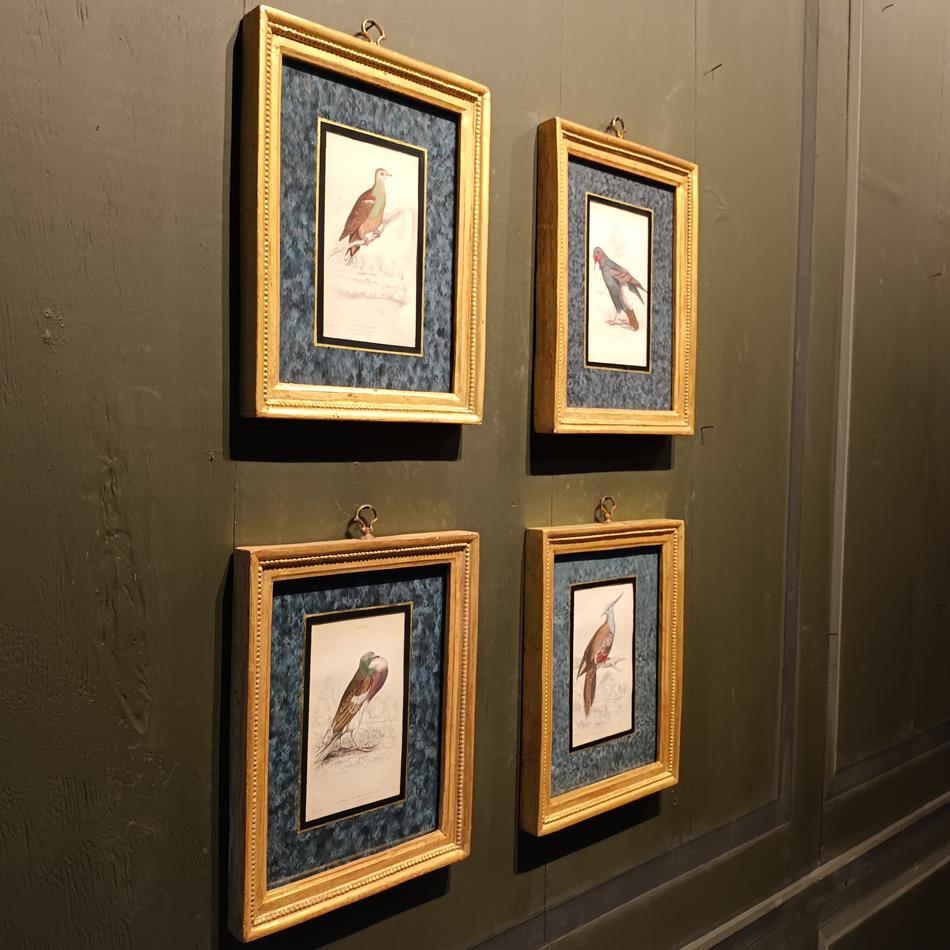A Set Of 19th Century Framed Bird Engravings By Edward Lear