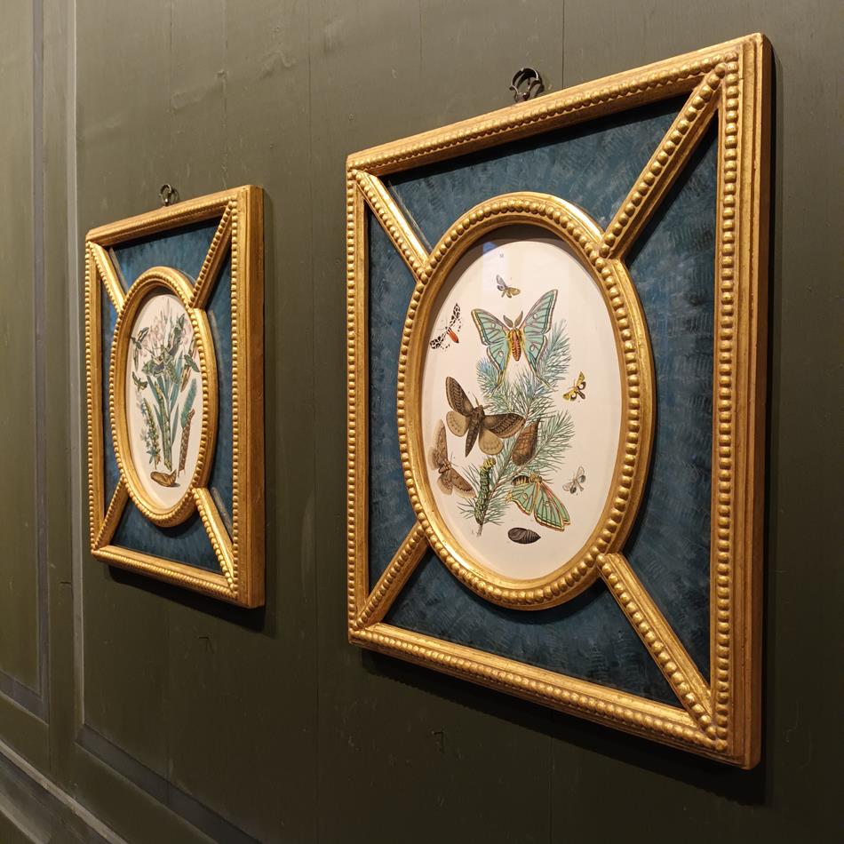 A Pair Of Framed 19th Century Butterfly Prints